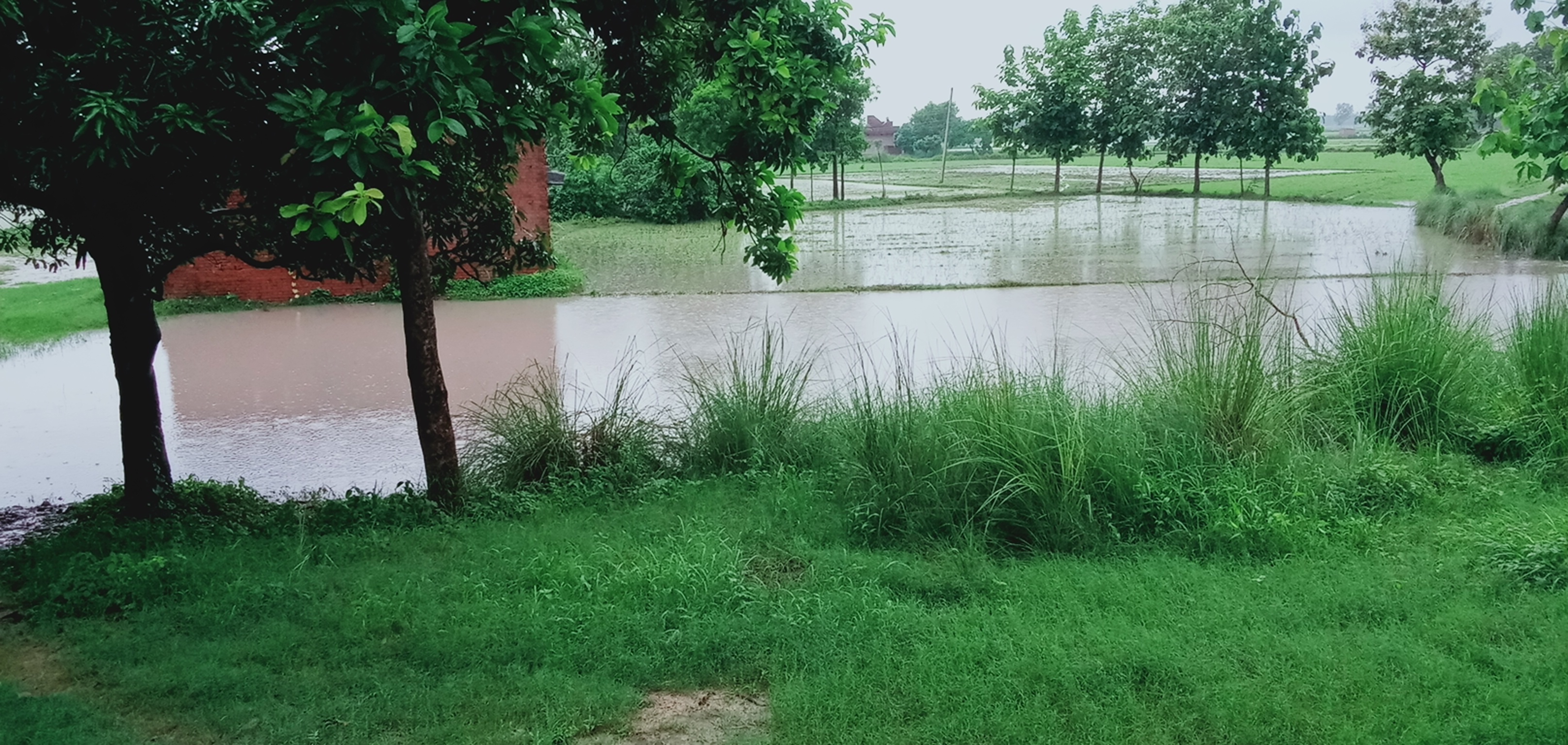 Gaurav Yadav