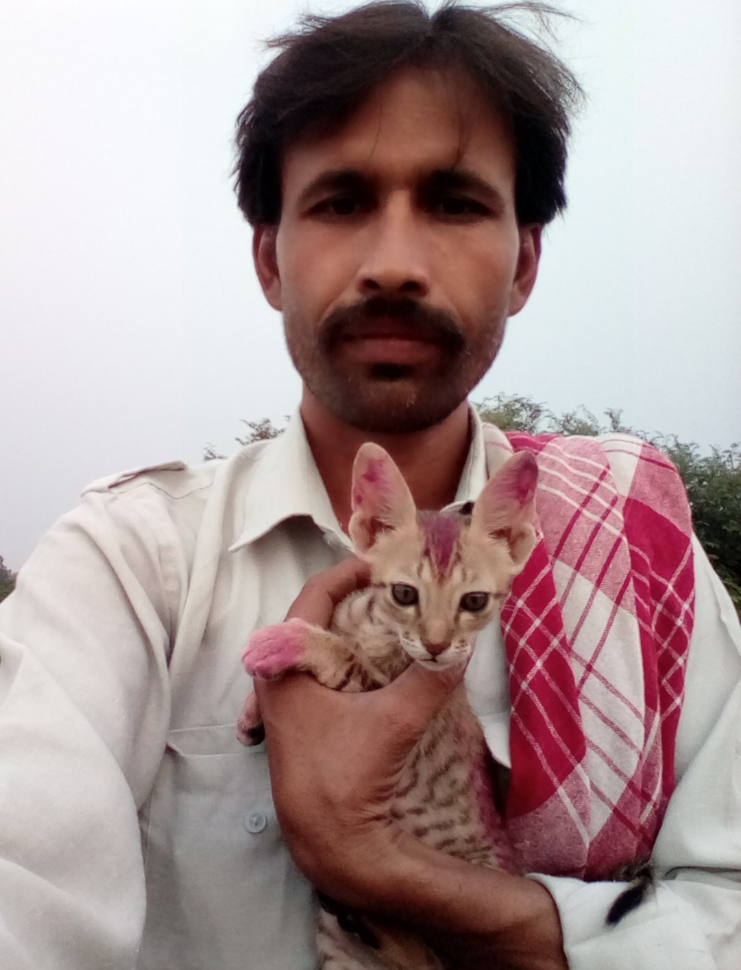 Dharmendra Tiwari