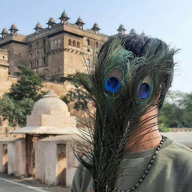 krishna singh lodhi
