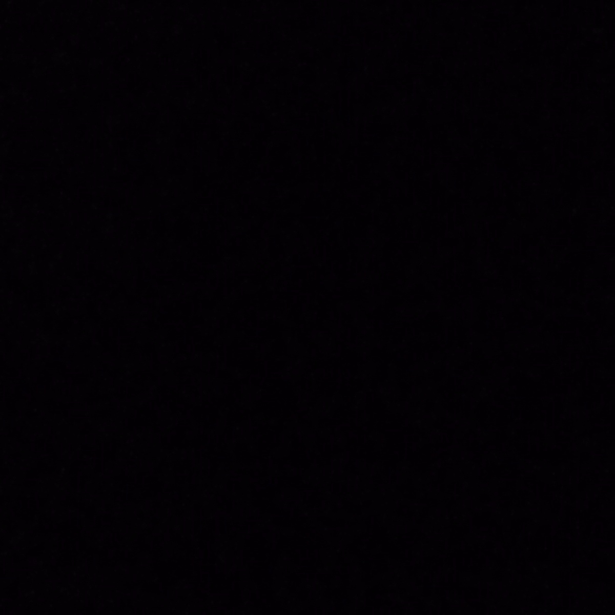 महामुर्ख मानव