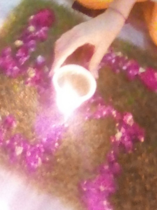 सुमित्रा's pic