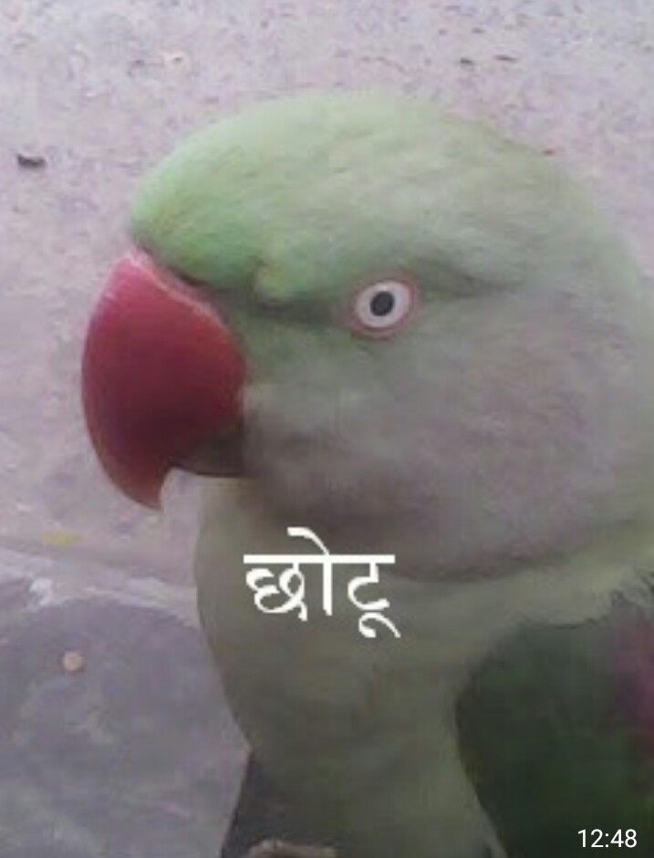Naimmohammad m