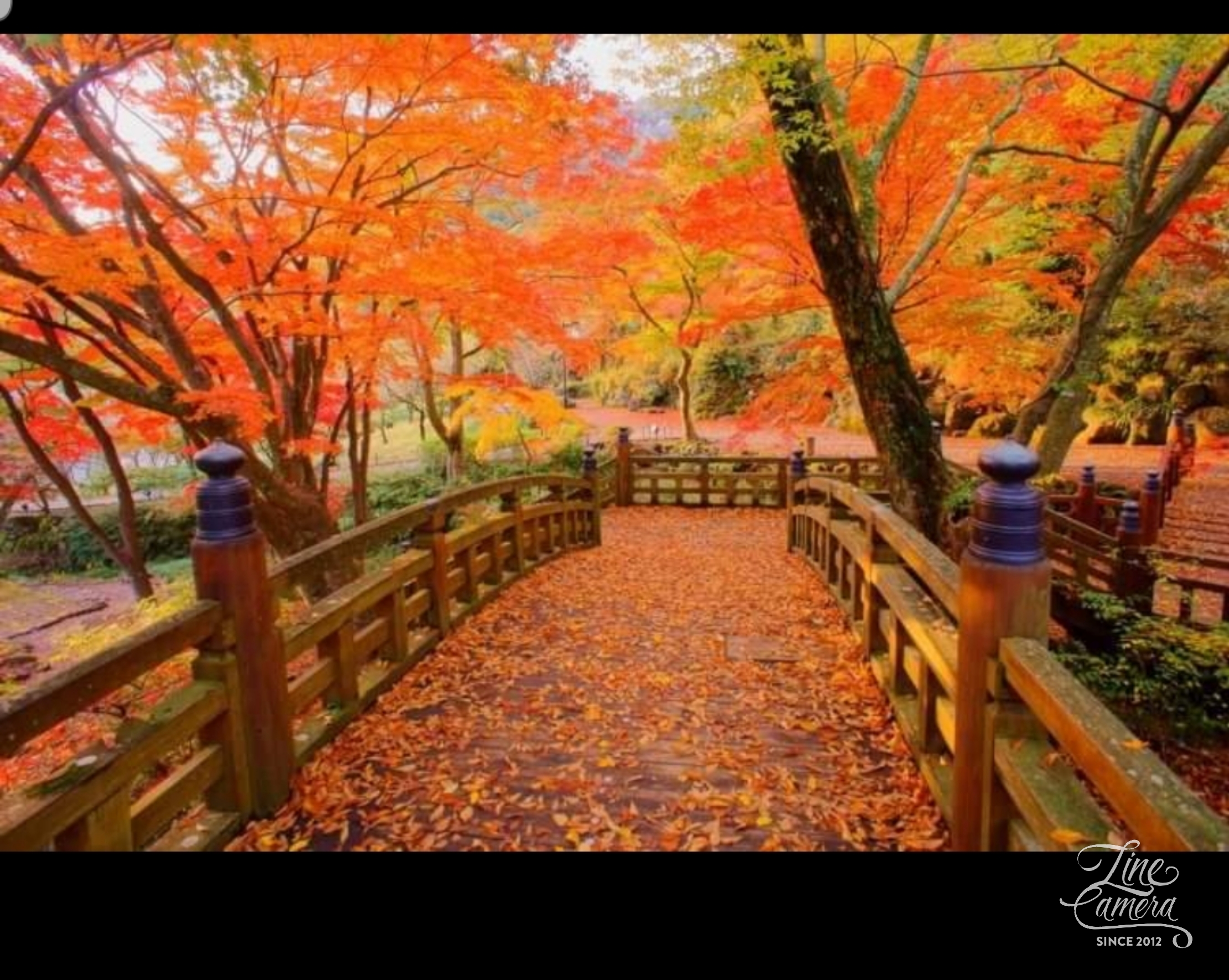 Sweety मित्तल Sweety मित्तल